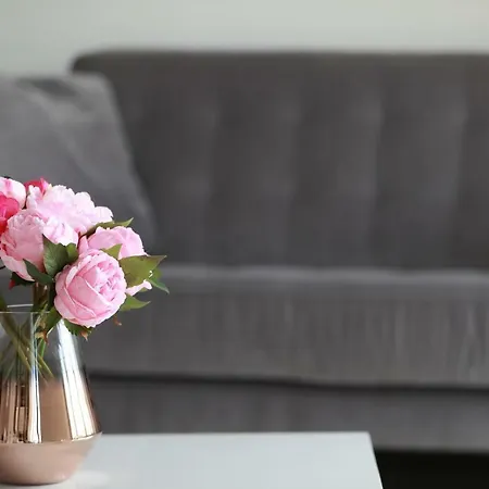 3p Lumineux Renove Derriere La Croisette Cannes